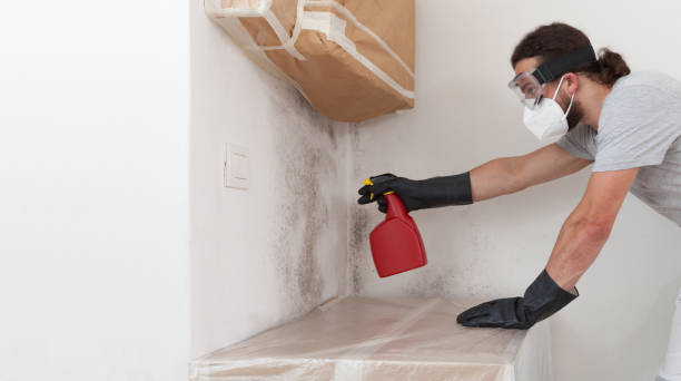 Professional Mold Inspection And Testing technician working in Roosevelt, NY